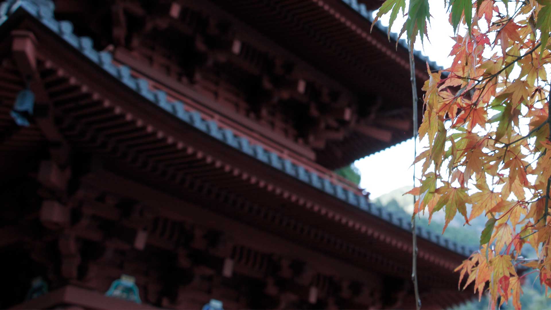 紅葉