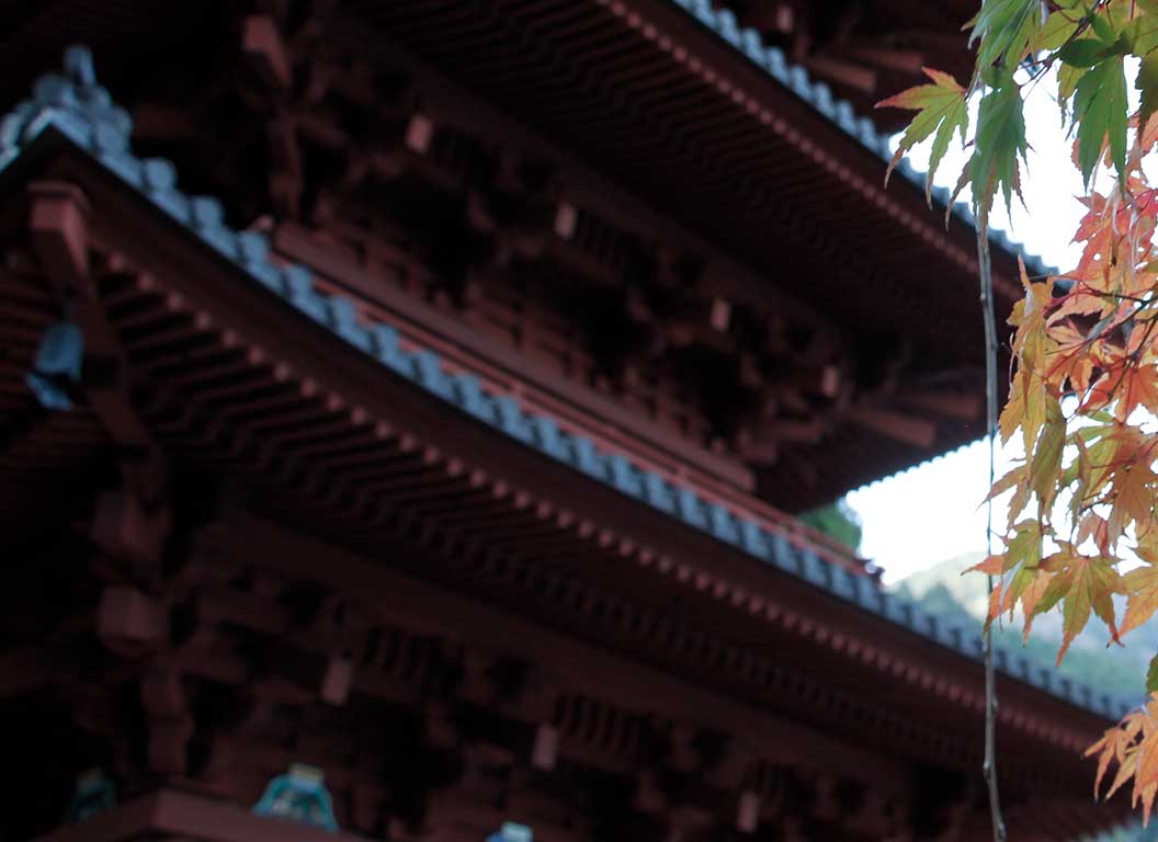 紅葉
